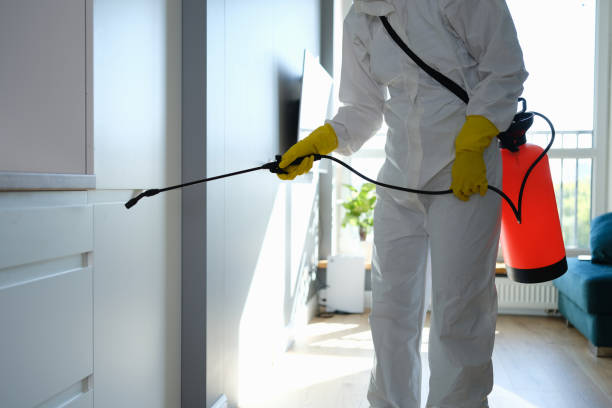 Best Residential Mold Removal  in Black Mountain, NC